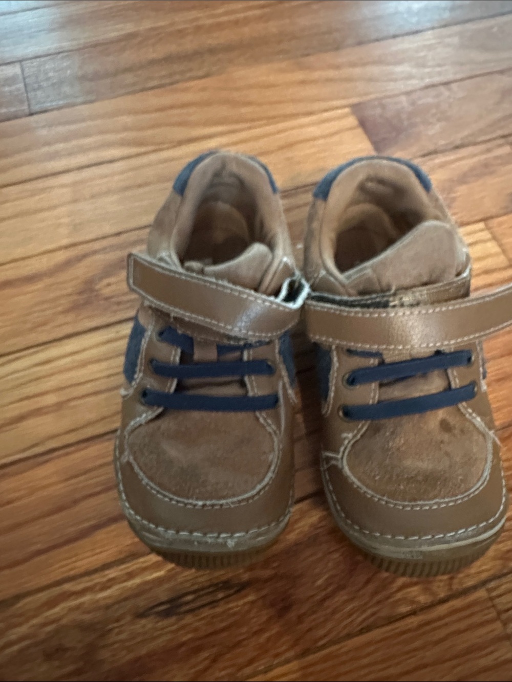 Stride Rite Brown and Navy Hook-and-Loop Sneakers